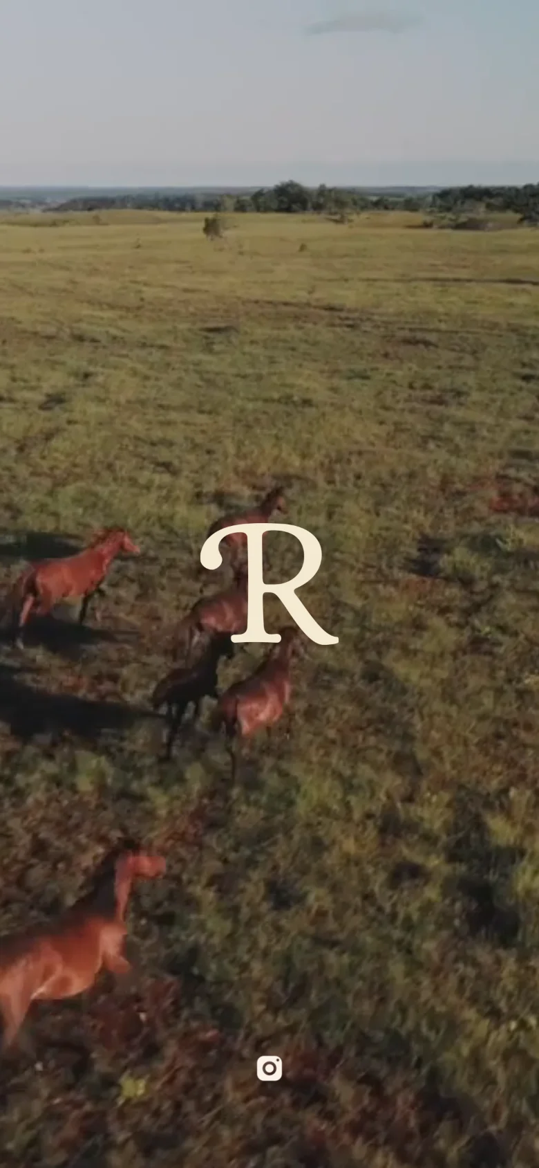 The mobile version maintains the cinematic video of horses in a field with the white 'R' logo centered, but the aspect ratio is cropped to a vertical orientation. The composition is tighter, focusing more on the movement of the horses in the foreground, with the Instagram icon positioned near the bottom.