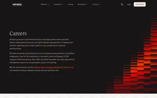 Kinsta homepage website preview
