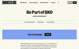 Brooklyn.org homepage website preview