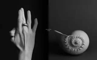 Barbara Skrodzka homepage website preview
