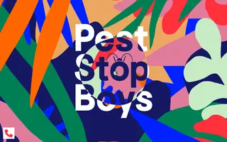 Pest Stop Boys homepage website preview