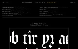 Twelve homepage website preview
