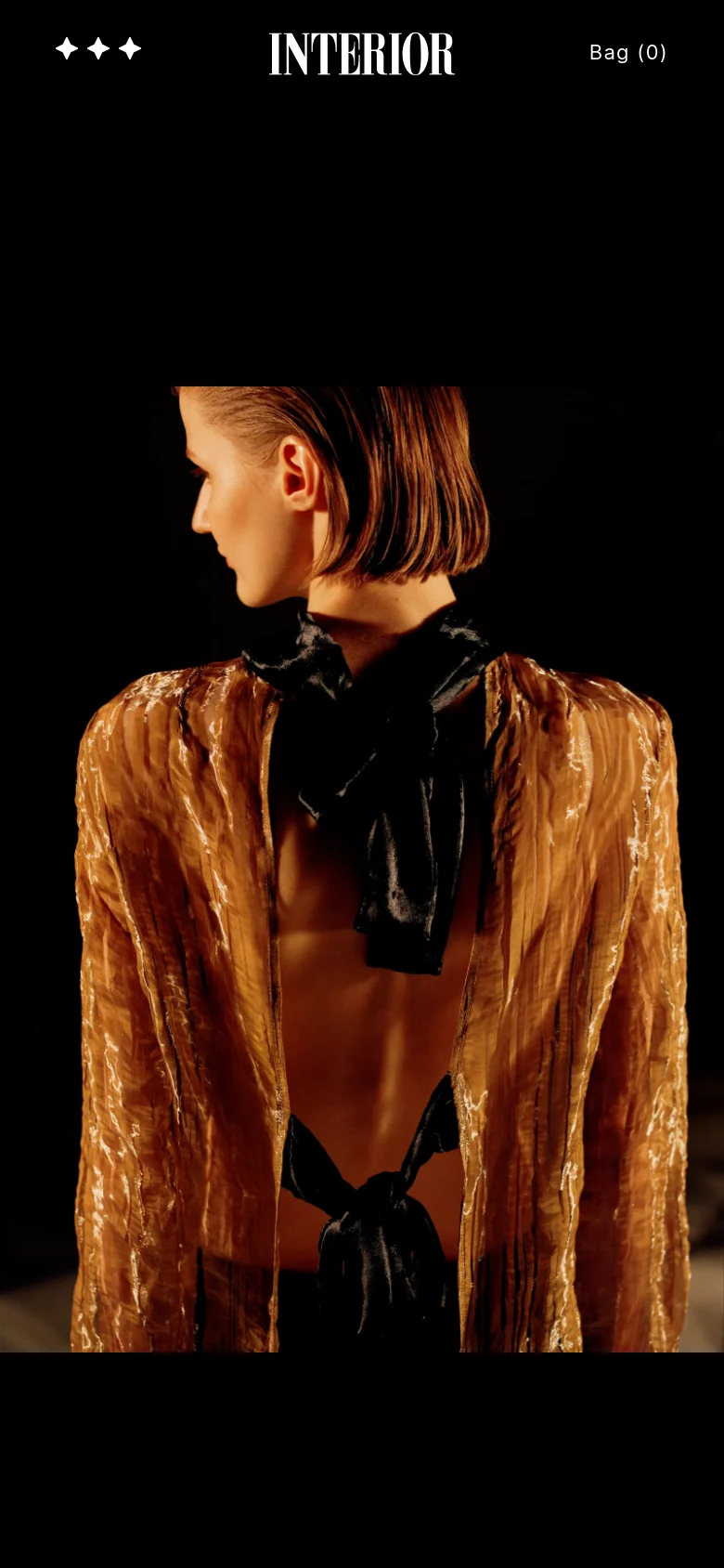 The mobile version simplifies the layout into a vertical stack, placing the brand logo and Bag icon at the top. The large mood image of the woman in the golden-brown garment dominates the center of the screen, with the descriptive text appearing below it. The design maintains a dark, sophisticated aesthetic with high-contrast white elements.
