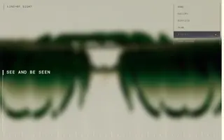 Line of Sight homepage website preview