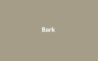 Bark homepage website preview
