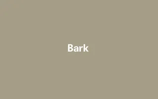 Bark homepage website preview
