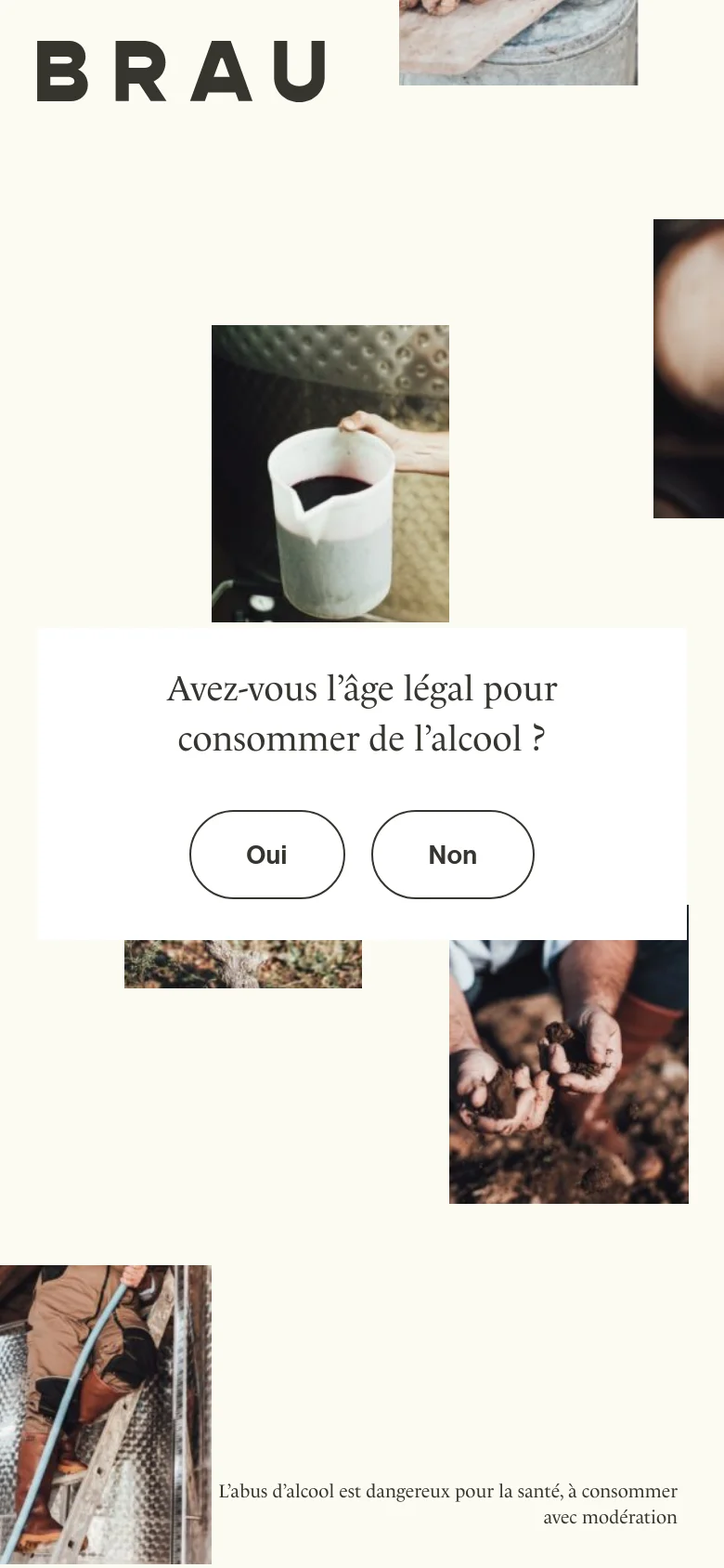 The mobile version presents a vertically stacked layout of the same rustic imagery and cream background. The age verification modal is centered, featuring the question and 'Oui' and 'Non' buttons, while the large 'BRAU' logo is positioned at the top left of the screen.