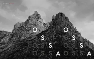 Ossa Wines homepage website preview