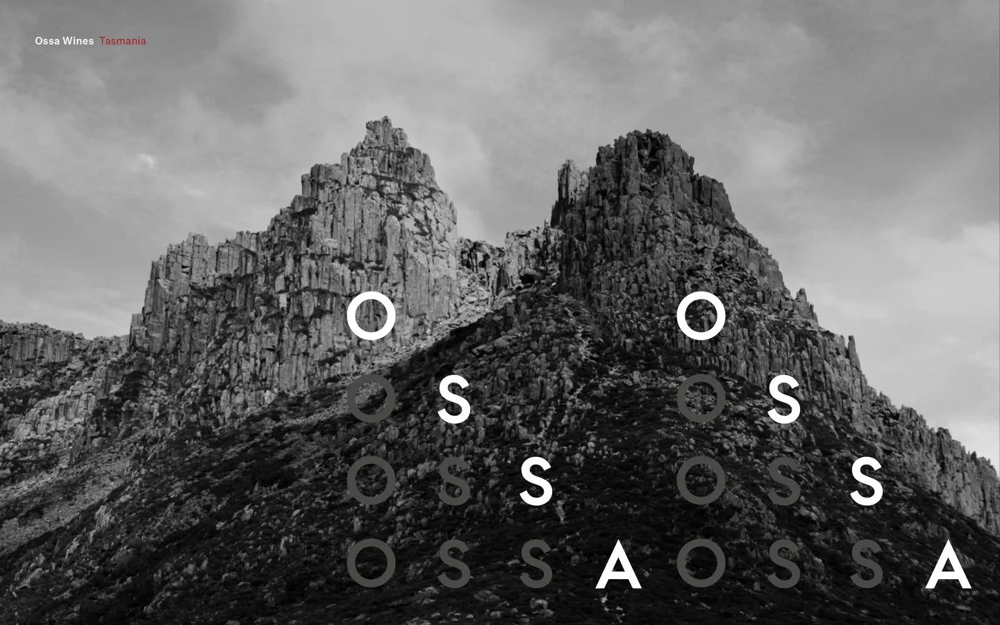 The desktop homepage features a large, dramatic black and white hero image of Mount Ossa's rugged peaks under a cloudy sky. A navigation bar at the top includes the Ossa Wines Tasmania logo, a 'Shop wine' call to action, and a menu, while the main headline 'Elevated wines born from raw, natural beauty' is overlaid on the mountain scenery.