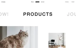 RINN Inc. homepage website preview