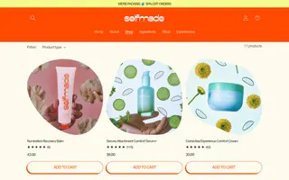 Selfmade homepage website preview