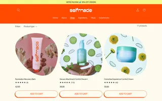Selfmade homepage website preview