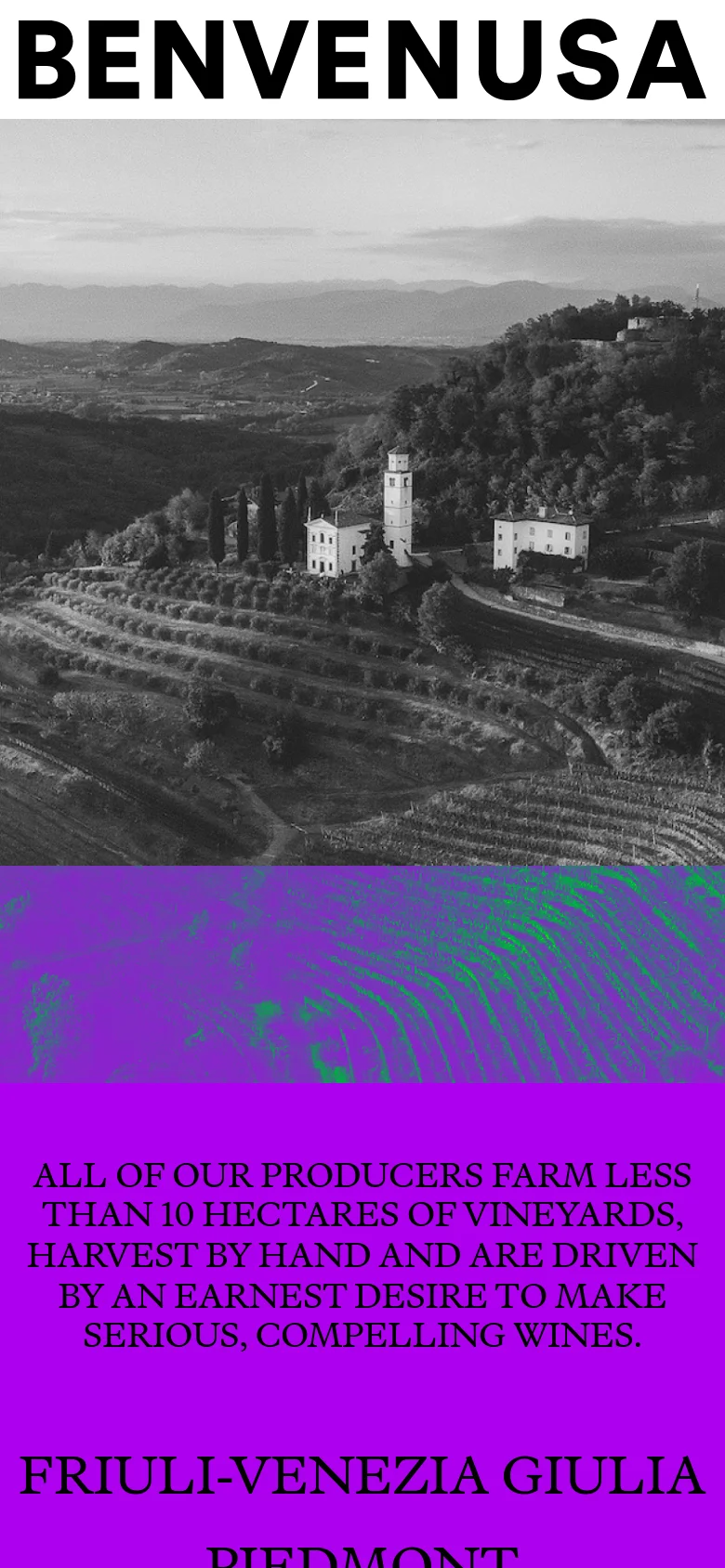 The mobile version maintains the high-contrast purple header with the 'BENVENUSA' logo and mission statement, but the text is stacked vertically for readability. The black-and-white landscape image follows the header, appearing slightly more cropped due to the narrower screen width.