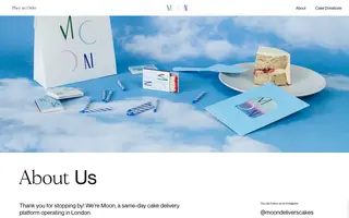 Moon homepage website preview