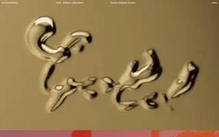 Vrints-Kolsteren homepage website preview
