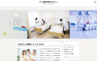 Snehamishra homepage website preview