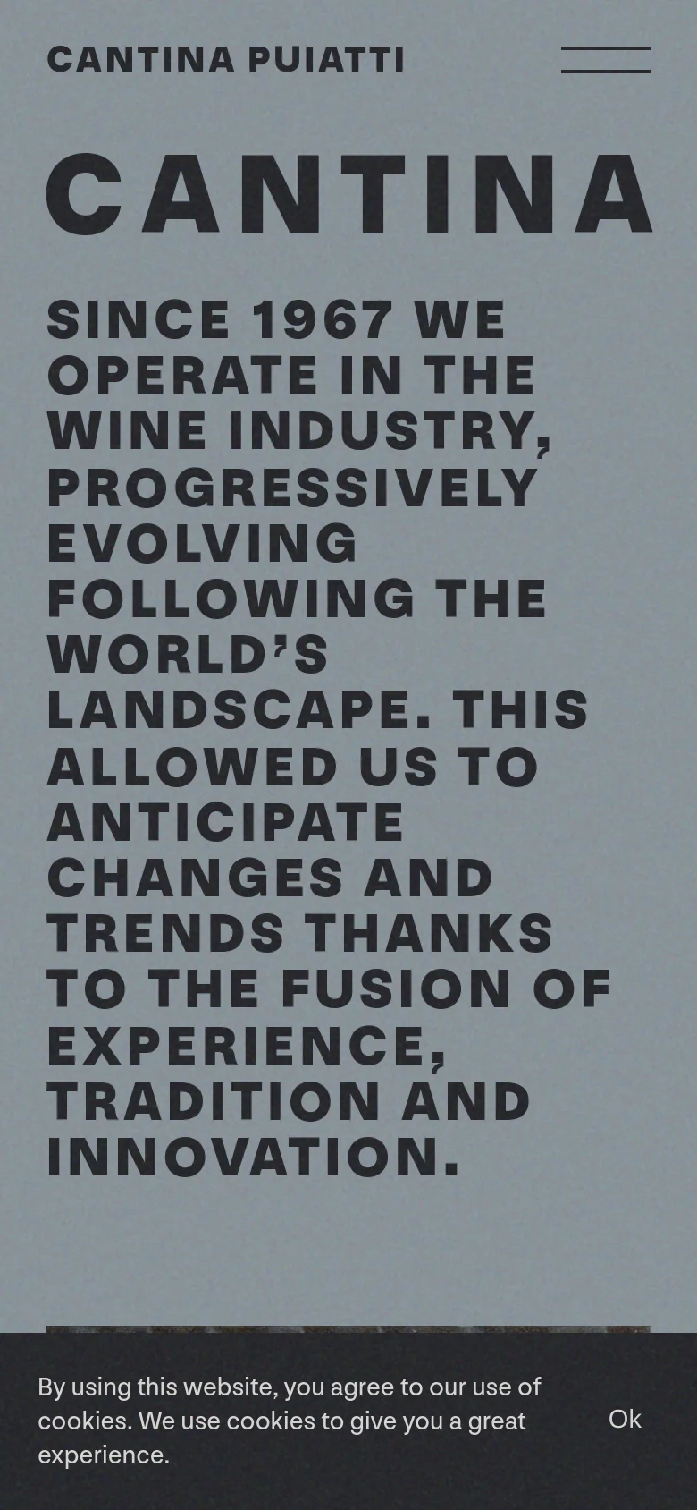 The mobile version maintains the minimalist aesthetic with the large 'CANTINA' headline and text centered for a narrow viewport. The layout is vertically stacked, and the cookie consent banner remains anchored at the bottom of the screen.