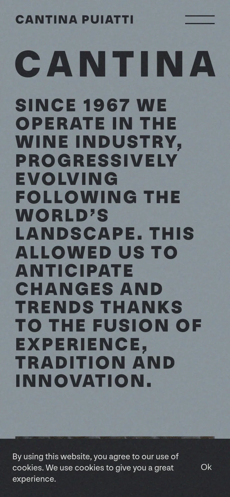 The mobile version maintains the minimalist aesthetic with the large 'CANTINA' headline and text centered for a narrow viewport. The layout is vertically stacked, and the cookie consent banner remains anchored at the bottom of the screen.