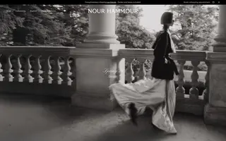 Nour Hammour homepage website preview