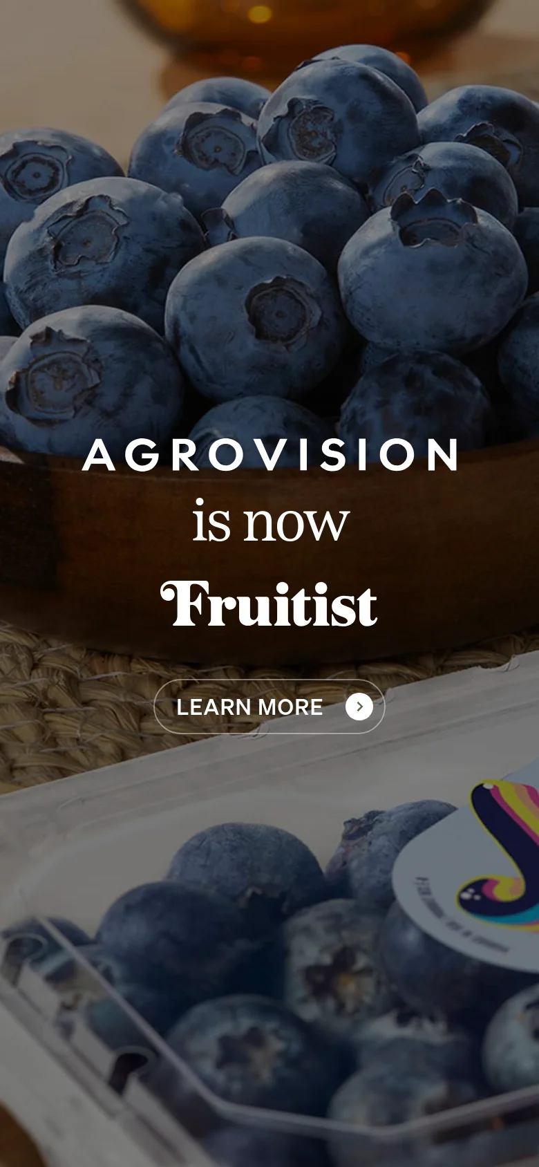 The mobile version displays the same blueberry hero imagery but with a vertical orientation. The text 'AGROVISION is now Fruitist' is stacked vertically in the center of the screen, followed by a prominent 'LEARN MORE' button.