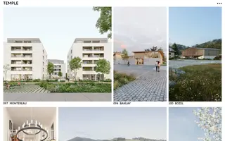 Temple homepage website preview