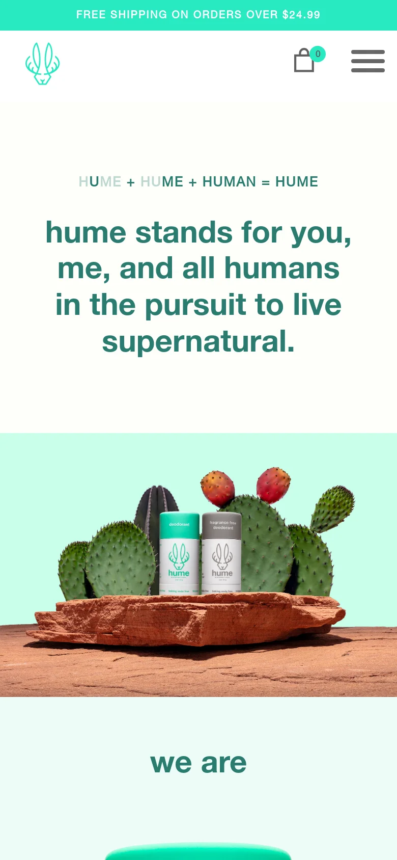 The mobile version presents a vertically stacked layout optimized for small screens. The teal header contains a hamburger menu icon and a shopping bag icon, while the large centered headline and desert-themed hero image are scaled down to fit the narrow width.