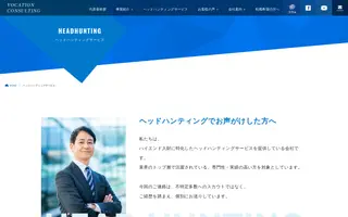 Vocation Consulting homepage website preview