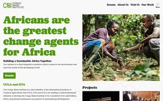 Congo Basin Institute homepage website preview