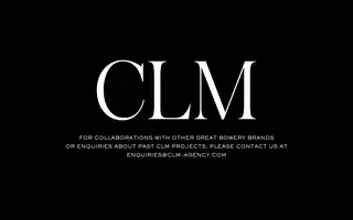 CLM homepage website preview