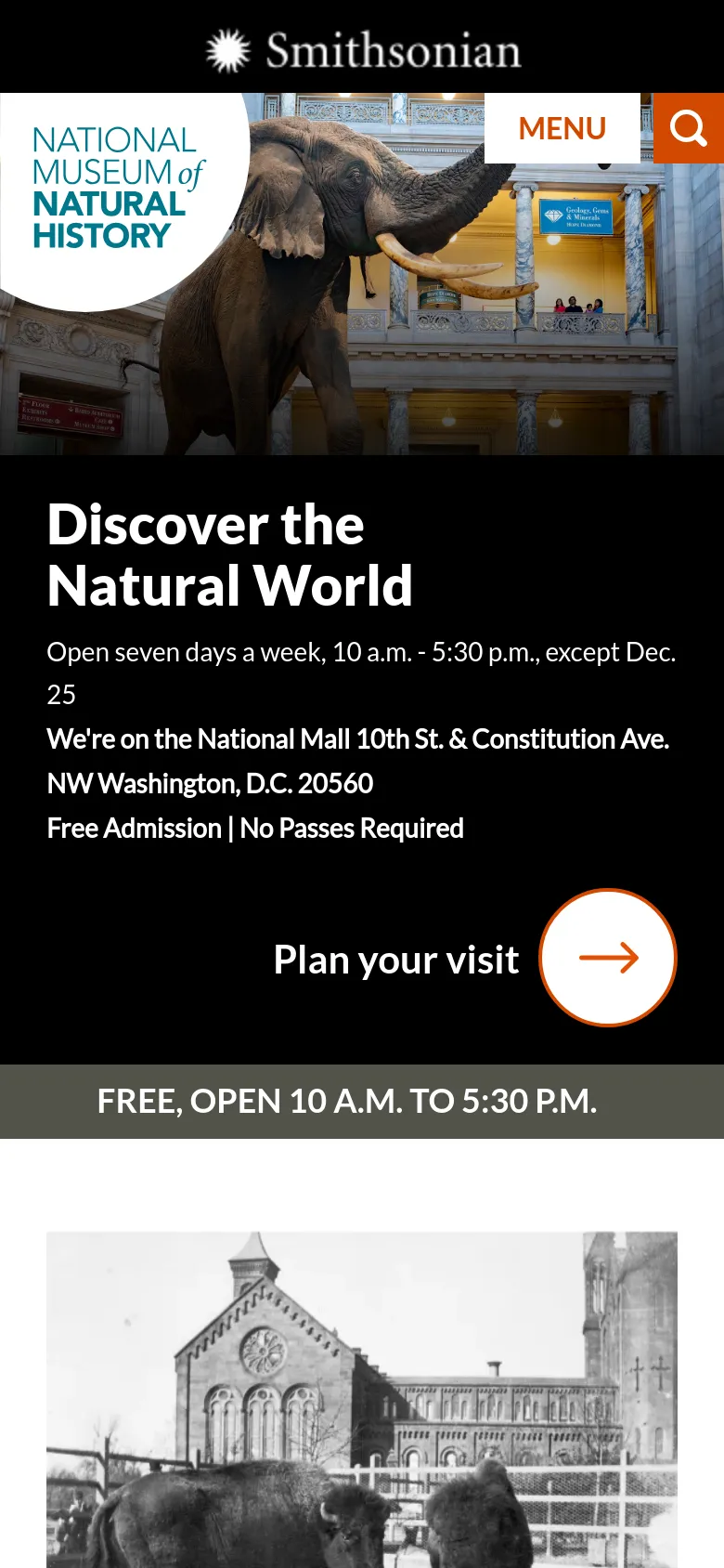 The mobile version presents a vertically stacked layout starting with a large hero image of an elephant and the 'Discover the Natural World' headline. Navigation is condensed into a 'MENU' button and a search icon at the top. The primary 'Plan your visit' call to action is emphasized with a large orange arrow button, and the layout transitions to single-column content blocks for exhibits below.