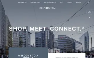 Steen Strøm homepage website preview