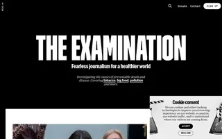 The Examination homepage website preview