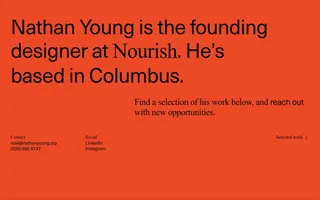 Nathan Young homepage website preview