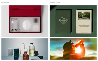 Visual Journal homepage website preview