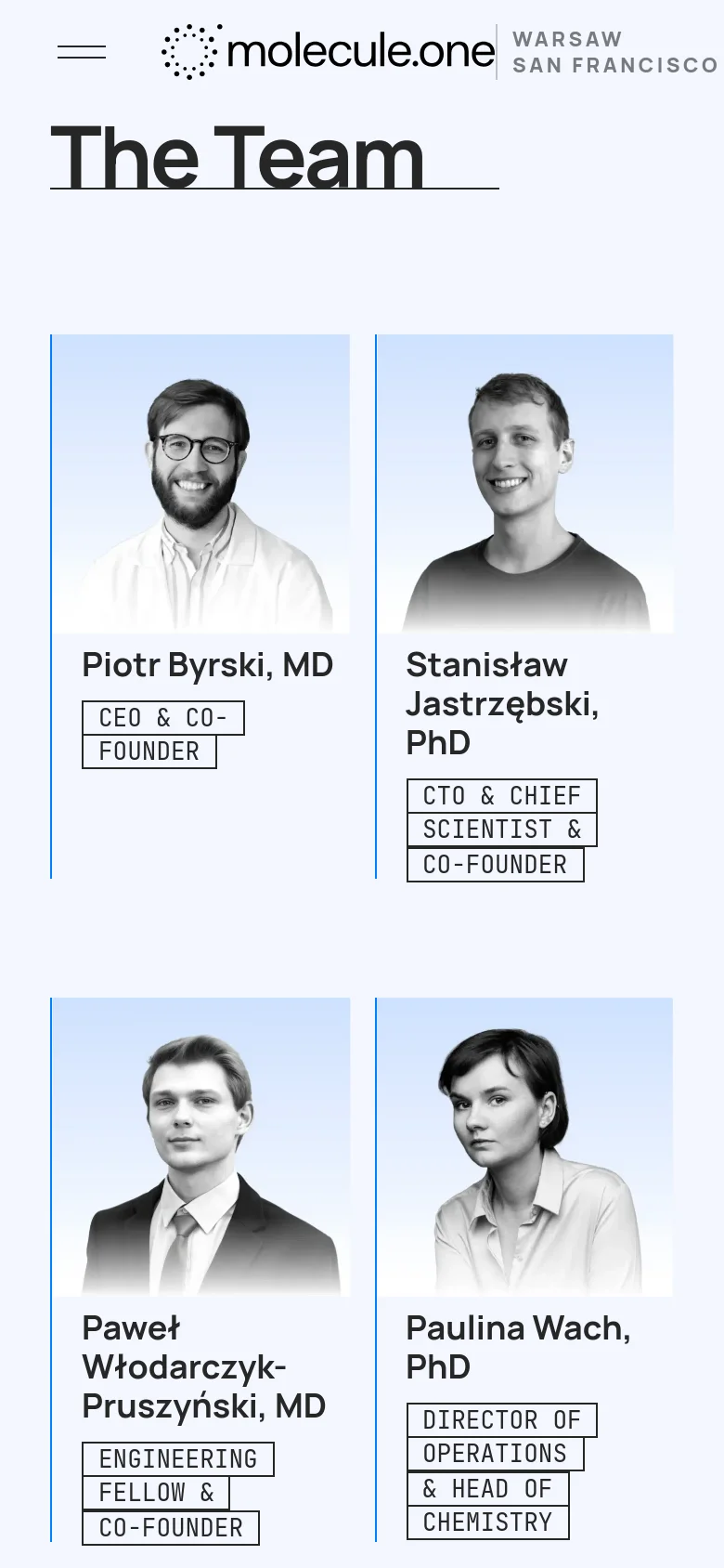 The mobile version displays the 'The Team' heading in a large, prominent font at the top. The team member headshots and their respective titles are rearranged into a single-column vertical stack for easier scrolling on a narrow screen.