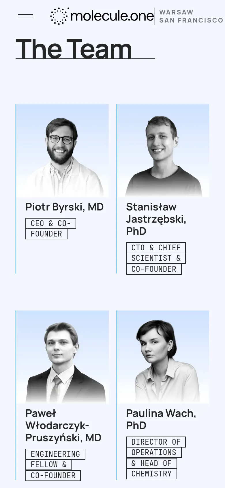 The mobile version displays the 'The Team' heading in a large, prominent font at the top. The team member headshots and their respective titles are rearranged into a single-column vertical stack for easier scrolling on a narrow screen.