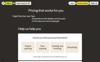 Streamtime homepage website preview