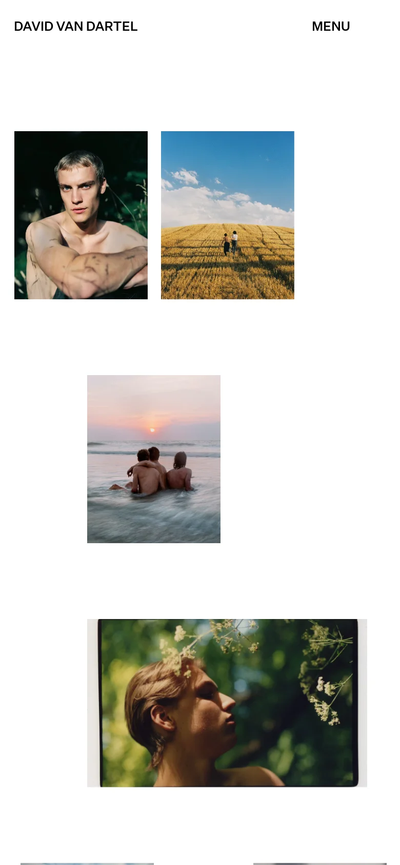 David van Dartel Home / Landing mobile website screenshot