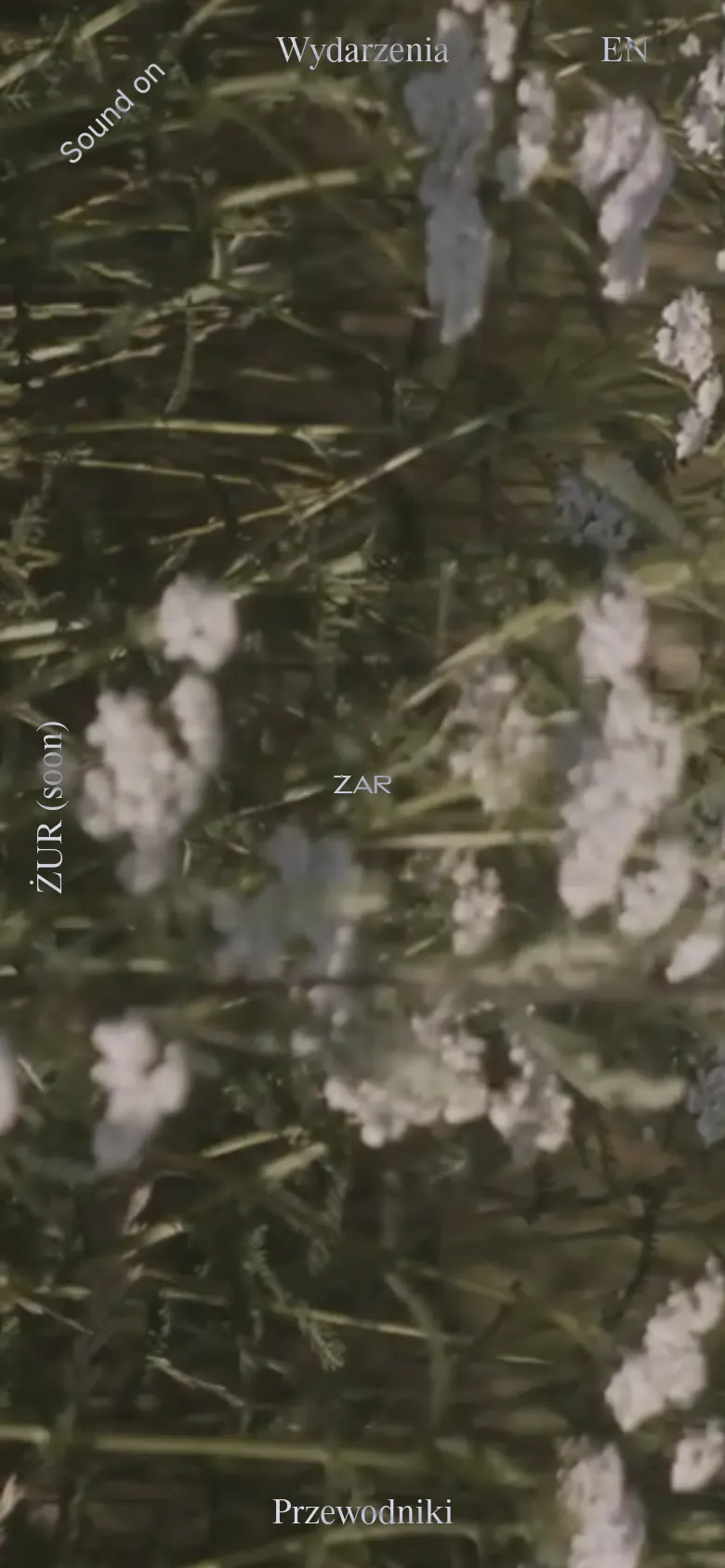 The mobile version maintains the full-screen wildflower imagery but uses a vertical orientation. Navigation links such as 'Wydarzenia', 'EN', and 'Przewodniki' are repositioned to fit the narrow screen, and the central 'ŻAR' branding remains prominent against the soft-focus natural background.