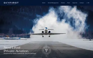 Skyfirst homepage website preview