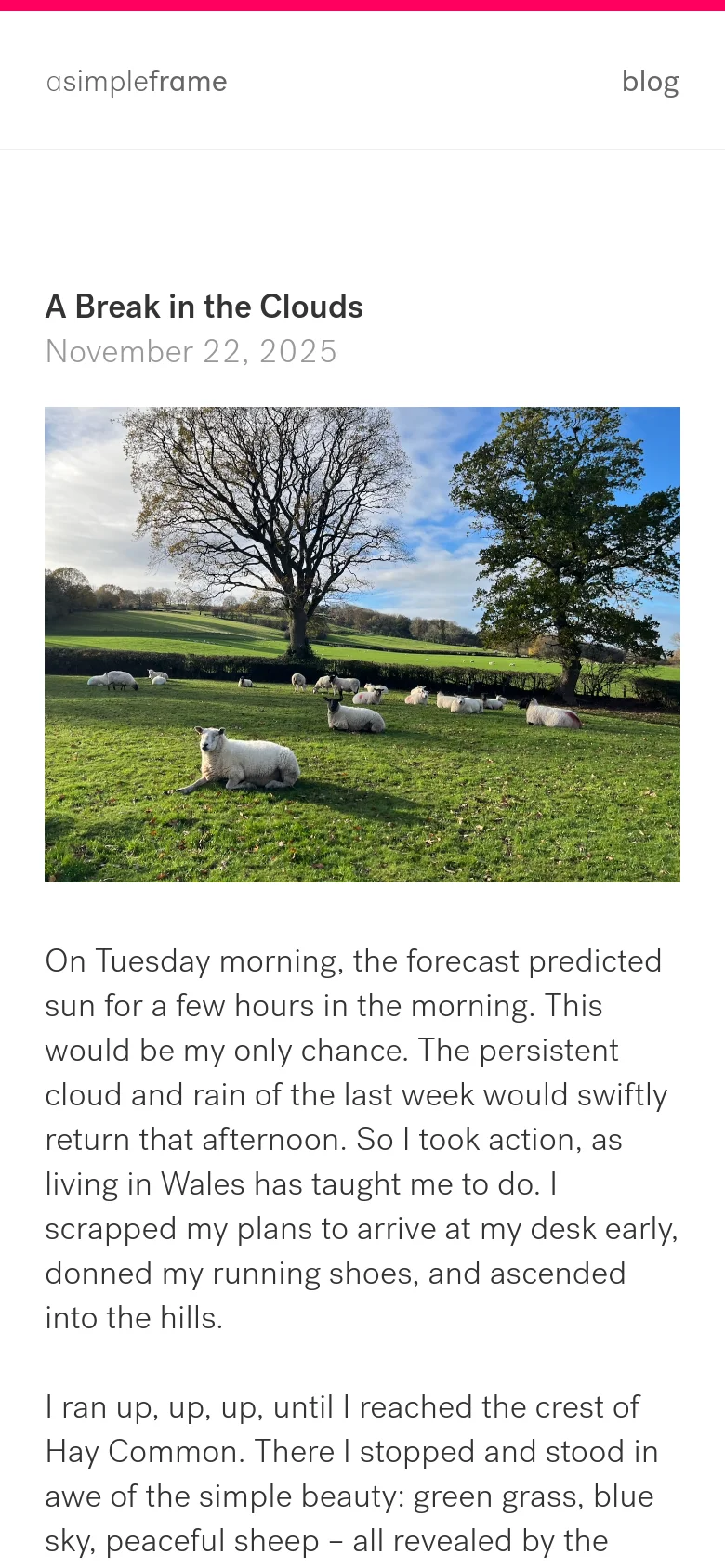 The mobile version maintains the minimalist white aesthetic but uses a single-column vertical layout. The navigation links are positioned at the top, followed by the article title, date, the large landscape image of sheep in a meadow, and the body text which flows down the screen.