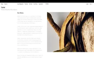 TWW Therapy homepage website preview