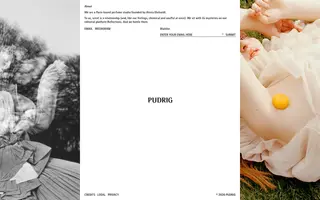 Pudrig homepage website preview
