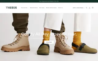 Thesus homepage website preview