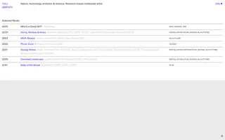 Yuli Serfaty homepage website preview