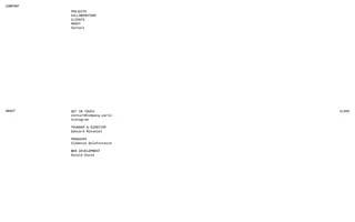 Company homepage website preview