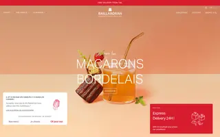 Baillardran homepage website preview