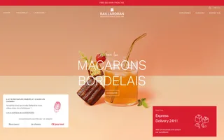 Baillardran homepage website preview