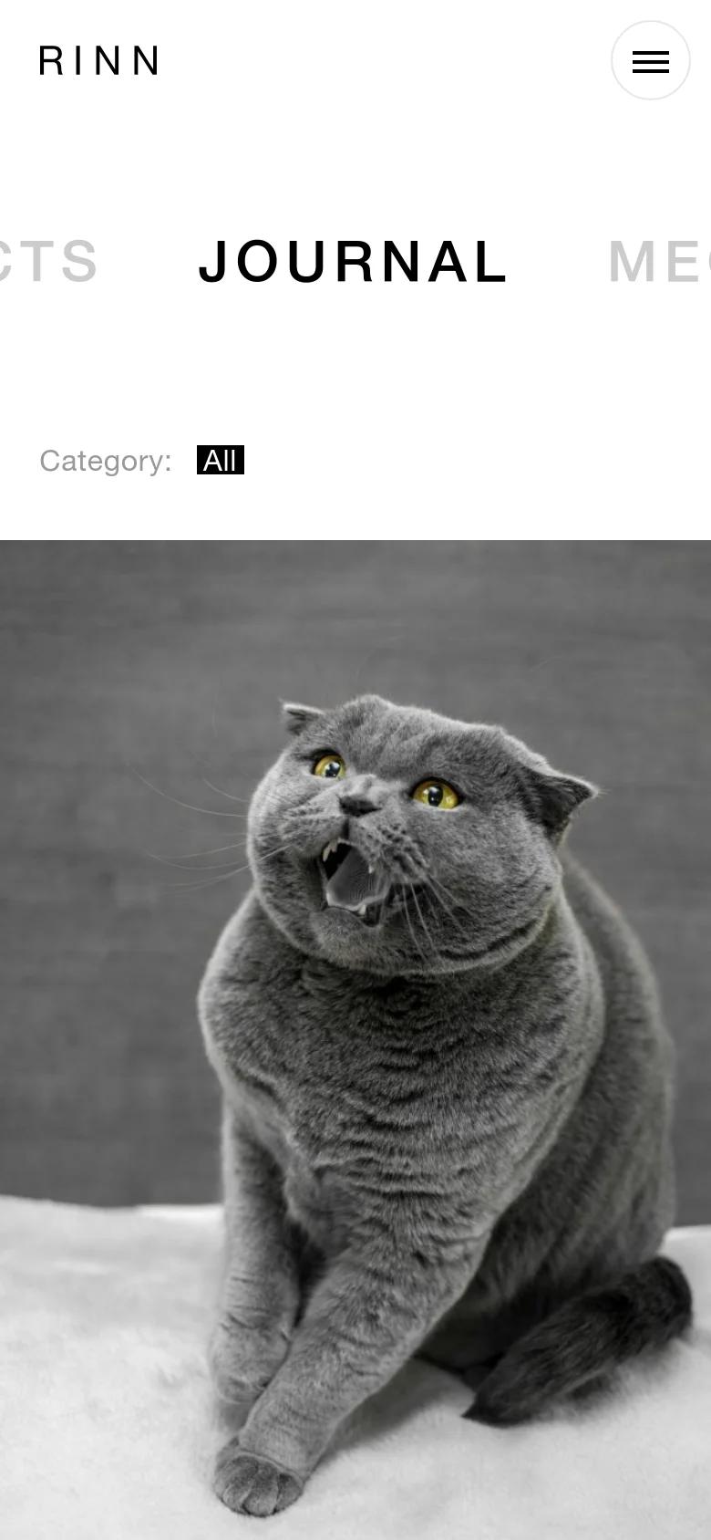 The mobile version simplifies the layout, replacing the top navigation bar with a hamburger menu icon next to the RINN logo. The large 'JOURNAL' heading remains prominent, but the content shifts to a single-column vertical scroll, starting with a large, full-width hero image of a grey cat.