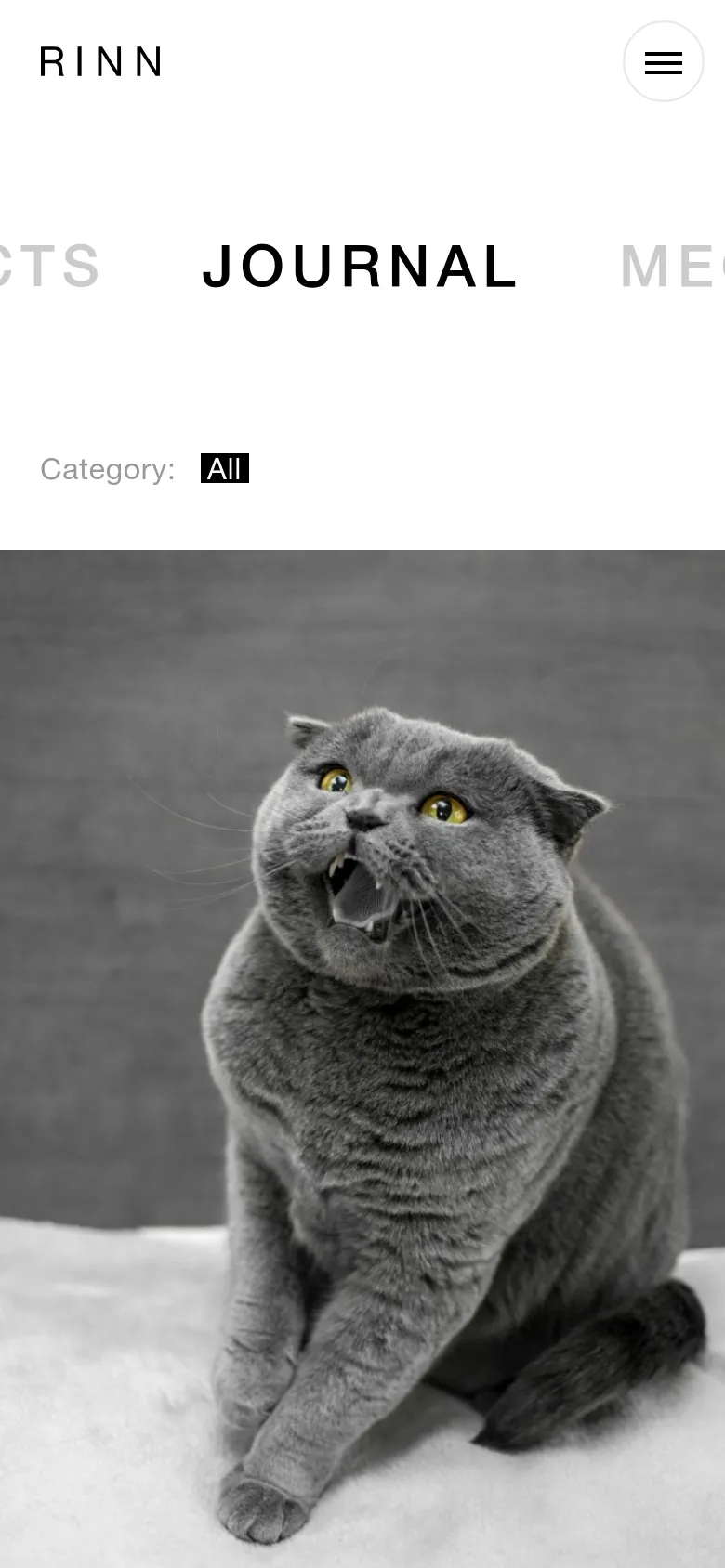 The mobile version simplifies the layout, replacing the top navigation bar with a hamburger menu icon next to the RINN logo. The large 'JOURNAL' heading remains prominent, but the content shifts to a single-column vertical scroll, starting with a large, full-width hero image of a grey cat.